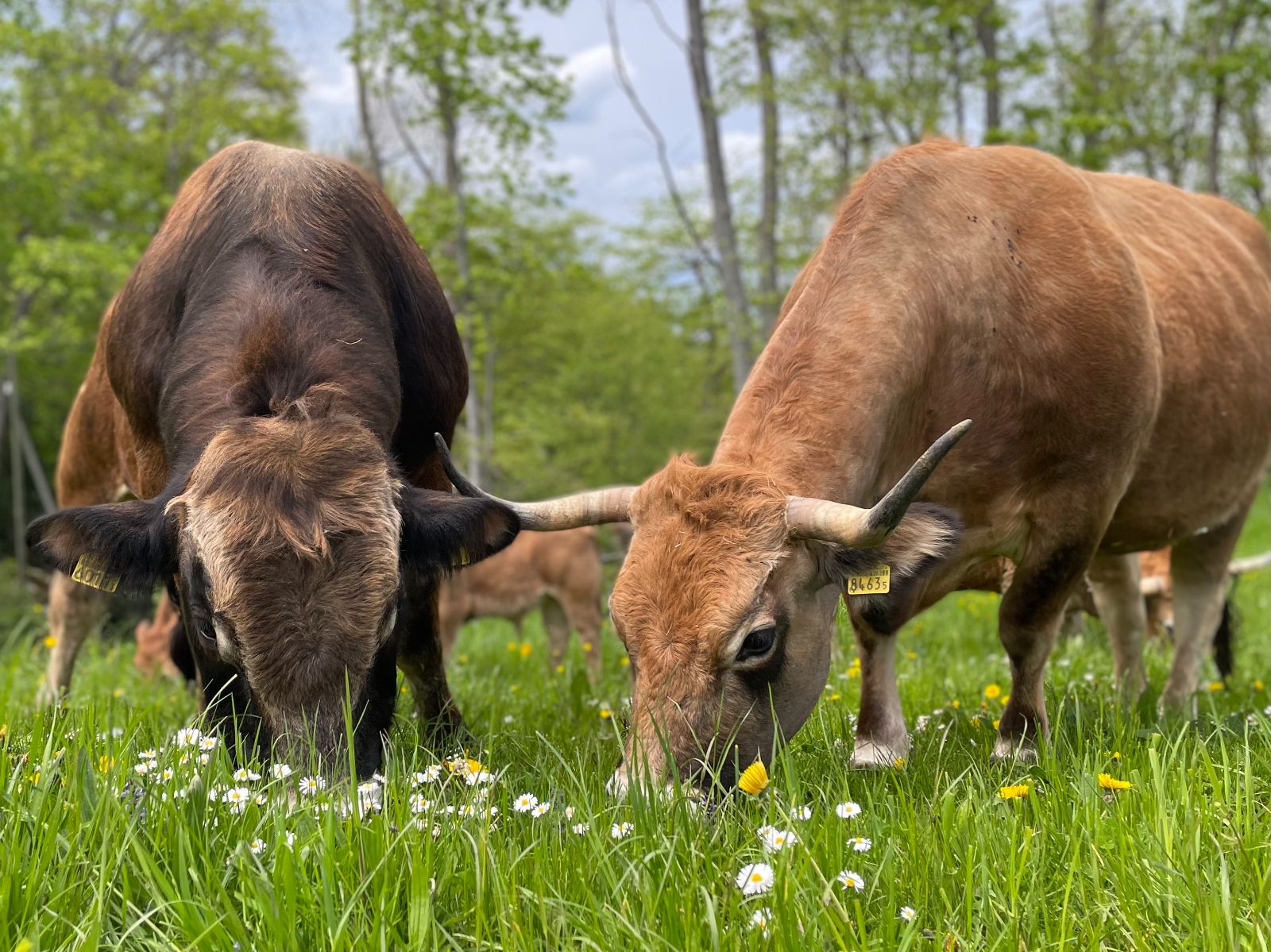 1100-065_Rebekka Strub_Quelle_Rebekka Strub (23).jpeg