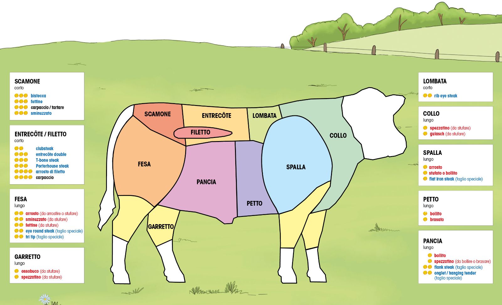 Grafik_Fleischstuecke_IT.jpg