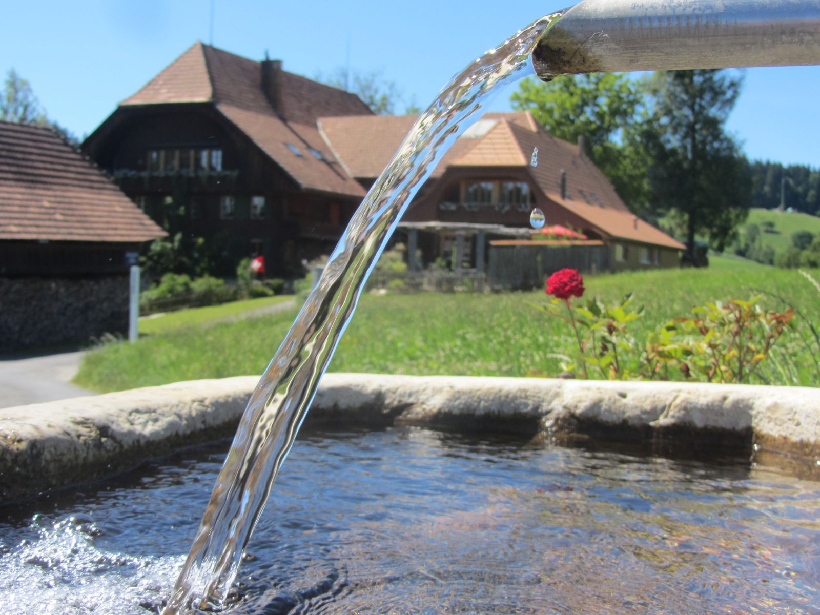 Brunnen_Wasser_22.06.2017_Quelle_Ulrich_Steiner.jpg