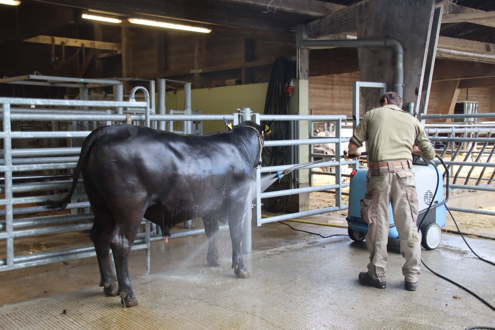 Waschanlage Brunegg.JPG