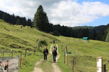 2018-08-26_12.08.27_-_Kopie.jpg