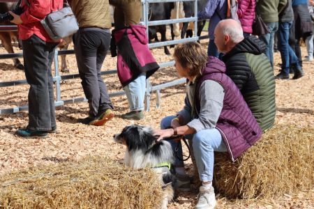 20240427-beef.ch-agrischa-Quelle-Mutterkuh-Schweiz (17).JPG