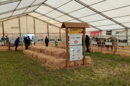 272404-beef.ch-agrischa-Quelle-Pierina-Zemp (9).jpg