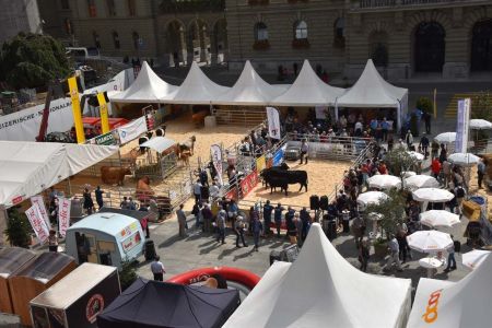 beef_2017_Bern_Gelaende_Deko_und_Gesamtuebersicht_57.jpg