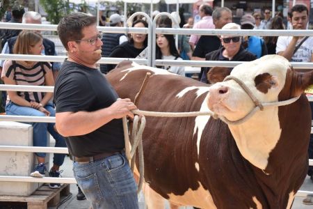 beef_2017_Bern_Munifluesterer_43.jpg