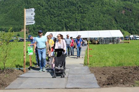 beef_Buochs_30.05.19_F_Schawalder__52.JPG