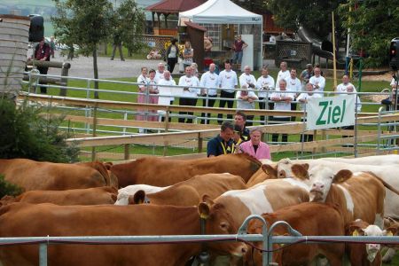 beef14_063.jpg