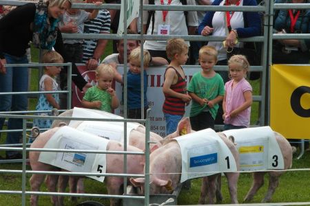 beef14_067.jpg