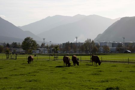 beef.ch_2022_Plantahof_Gelände_Foto_Jonas_Freund (23).jpg