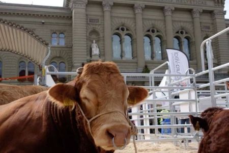 beef.ch_bern_impressionen_106.jpg