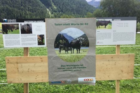 beef.ch_madulain_impressionen_47.jpg