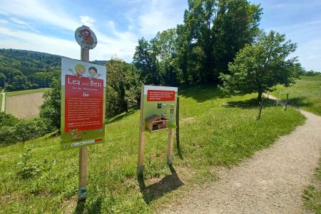 Lenzburg_Erlebnisweg_29.05.2024 (37).jpg