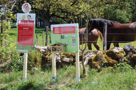 Saignelegier_Aufbau_16.05.2025 (230).JPG